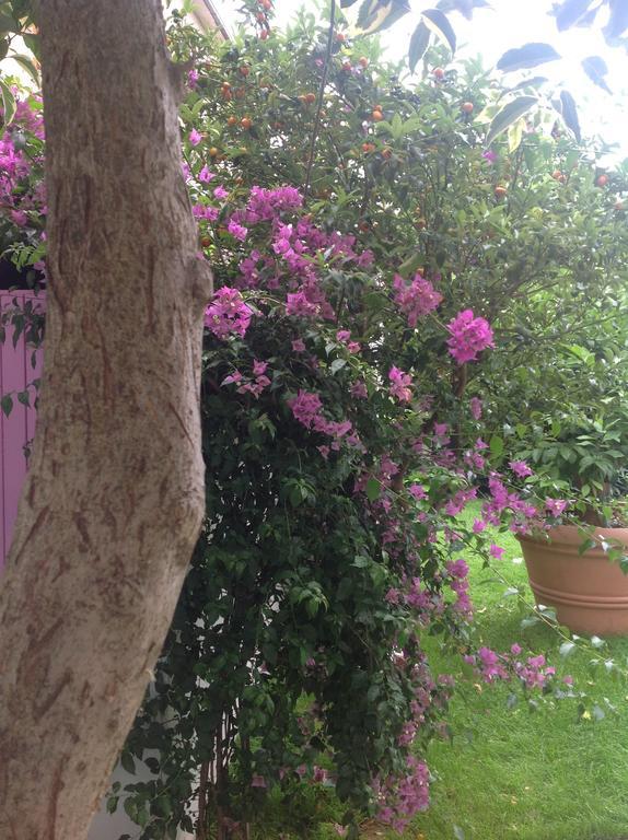 A Casa Di Lolu Panzió Grottammare Kültér fotó