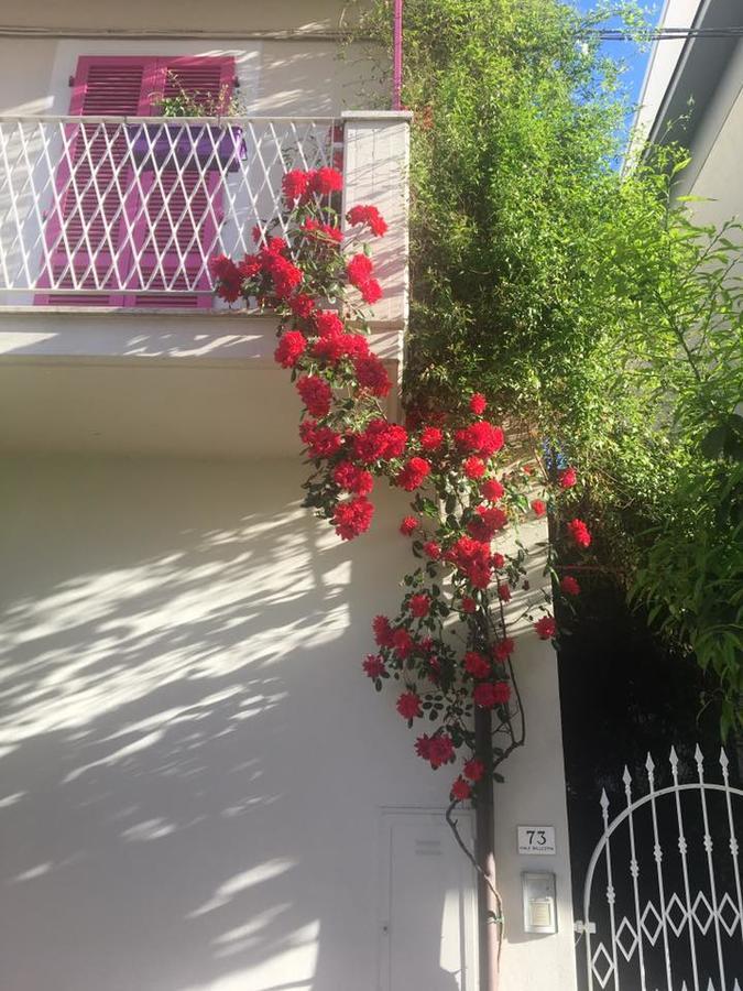 A Casa Di Lolu Panzió Grottammare Kültér fotó